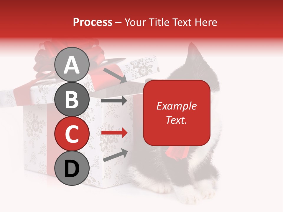 Profile Box Themes PowerPoint Template