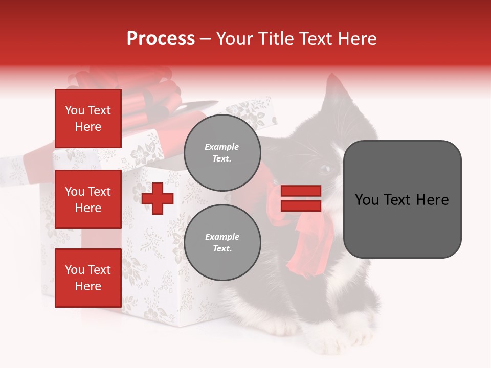 Profile Box Themes PowerPoint Template