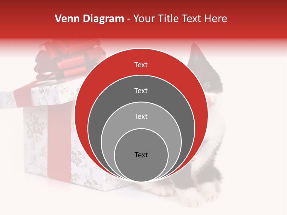 Profile Box Themes PowerPoint Template