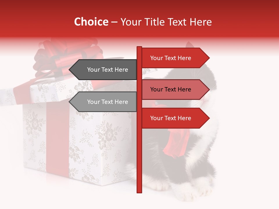 Profile Box Themes PowerPoint Template