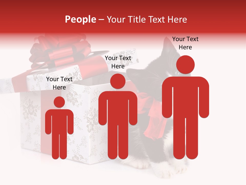 Profile Box Themes PowerPoint Template