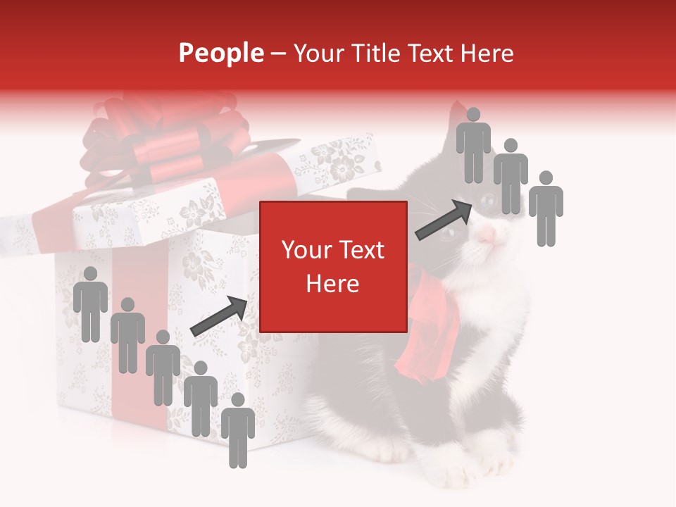 Profile Box Themes PowerPoint Template