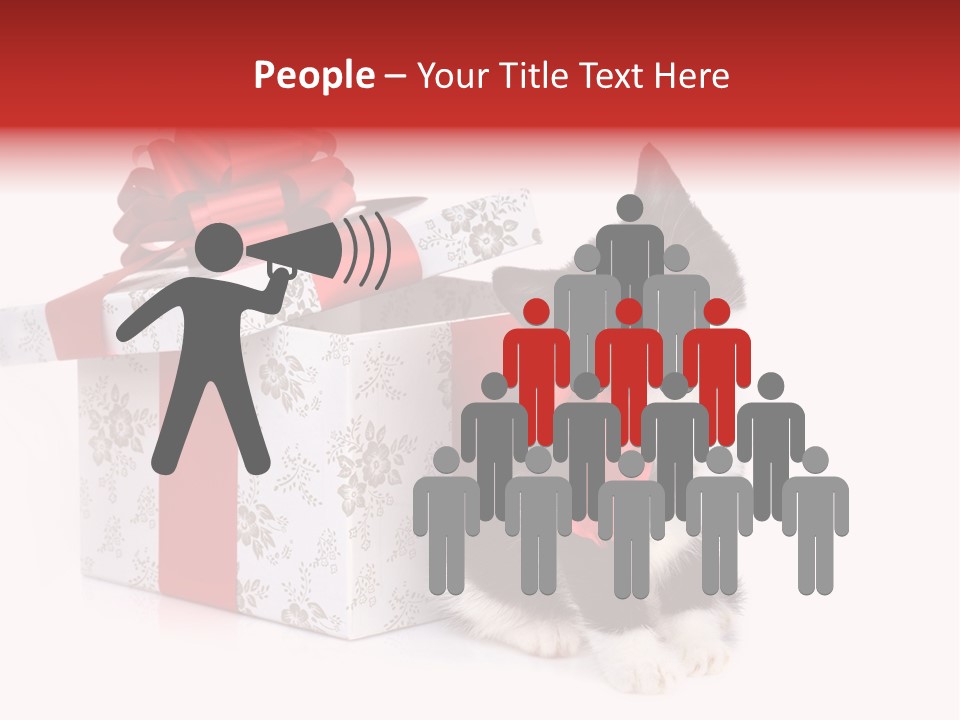 Profile Box Themes PowerPoint Template