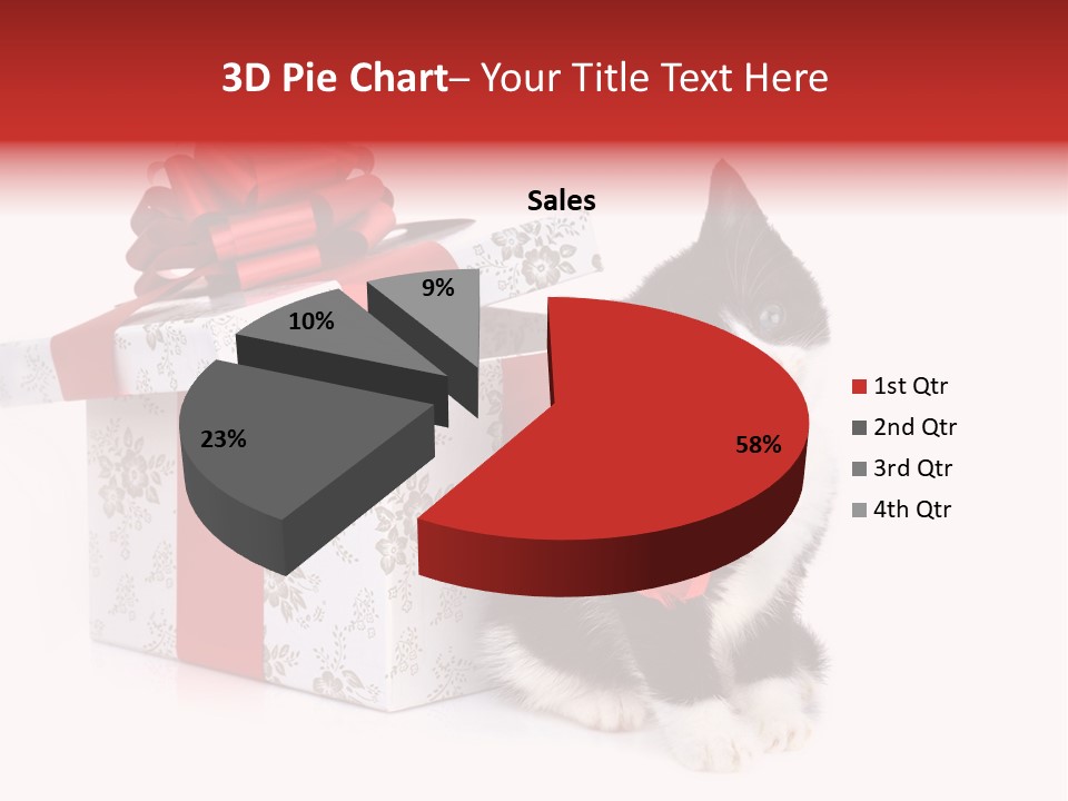 Profile Box Themes PowerPoint Template