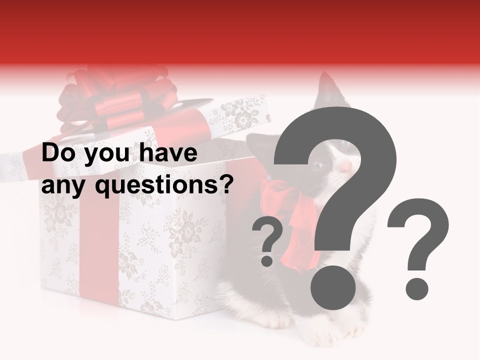 Profile Box Themes PowerPoint Template