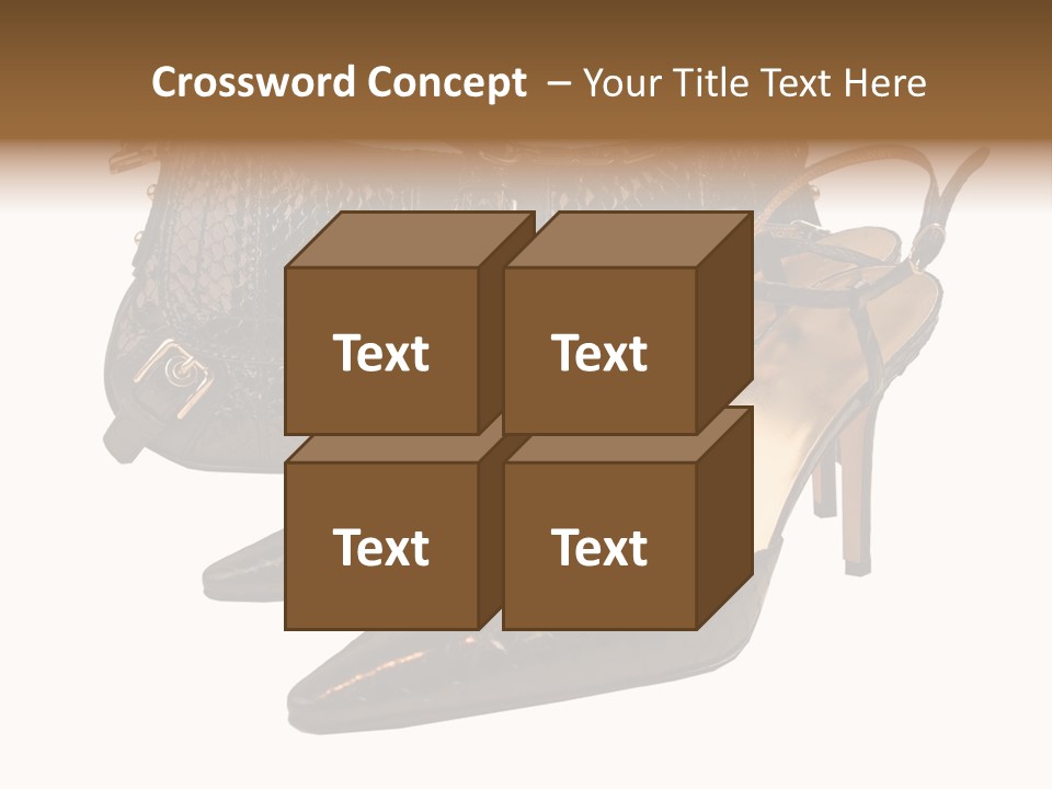 Black Fashion Accessory PowerPoint Template