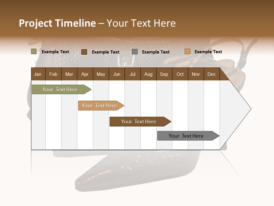 Black Fashion Accessory PowerPoint Template