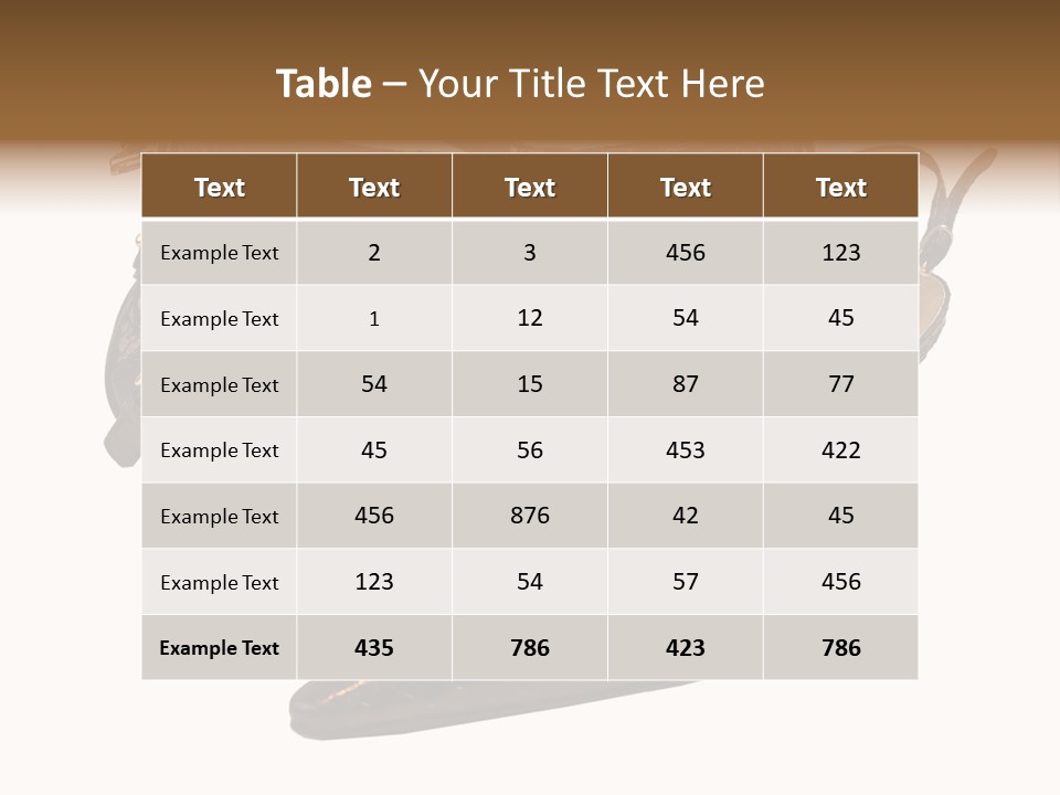 Black Fashion Accessory PowerPoint Template