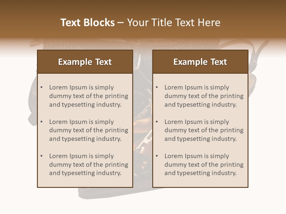 Black Fashion Accessory PowerPoint Template