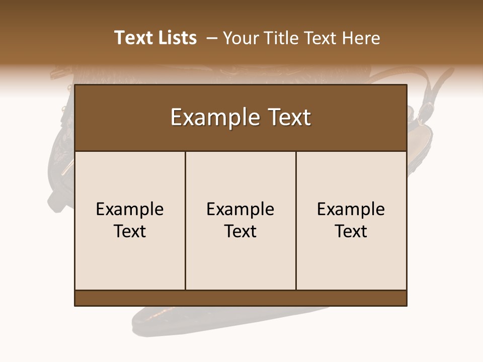 Black Fashion Accessory PowerPoint Template