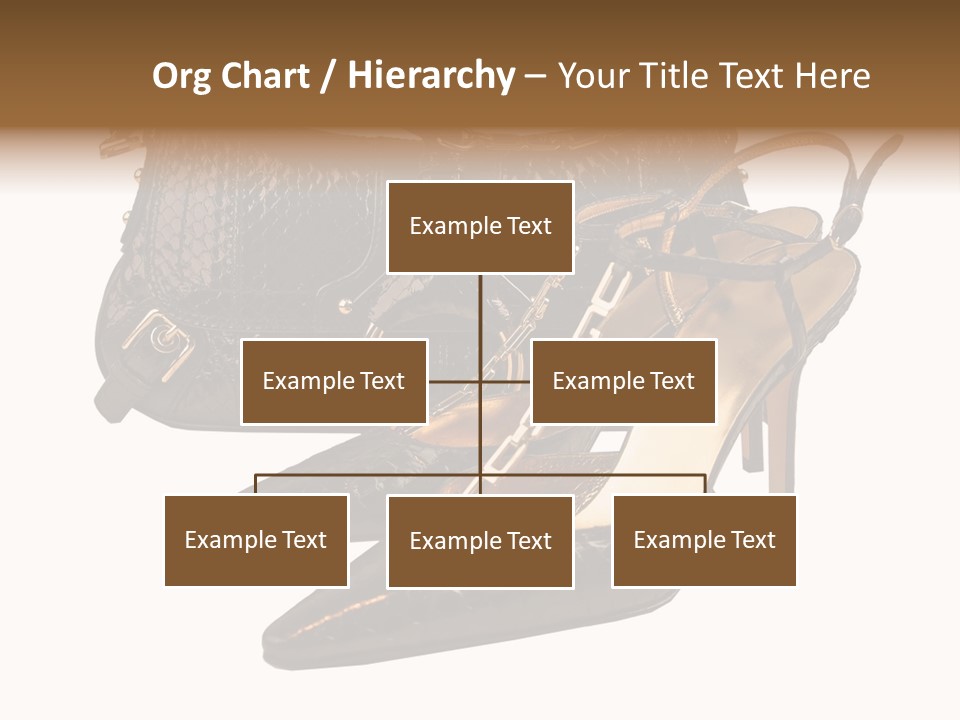 Black Fashion Accessory PowerPoint Template