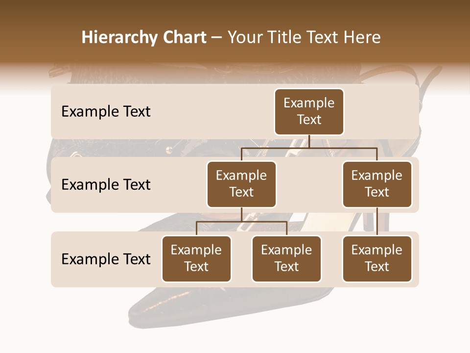 Black Fashion Accessory PowerPoint Template