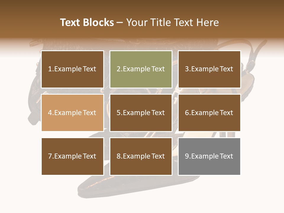 Black Fashion Accessory PowerPoint Template