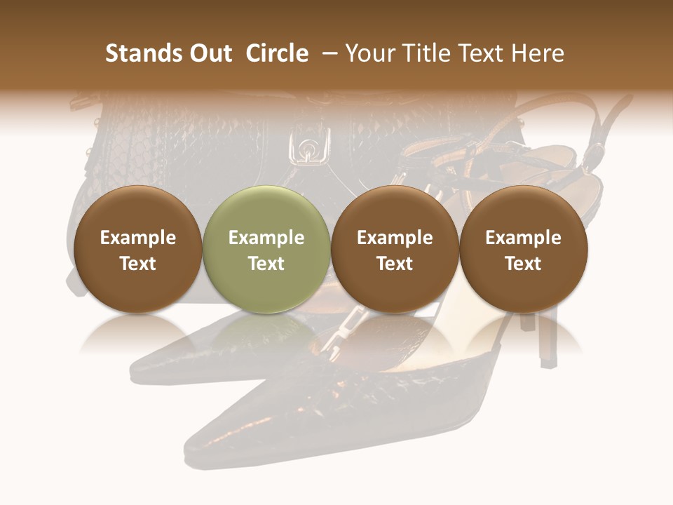 Black Fashion Accessory PowerPoint Template