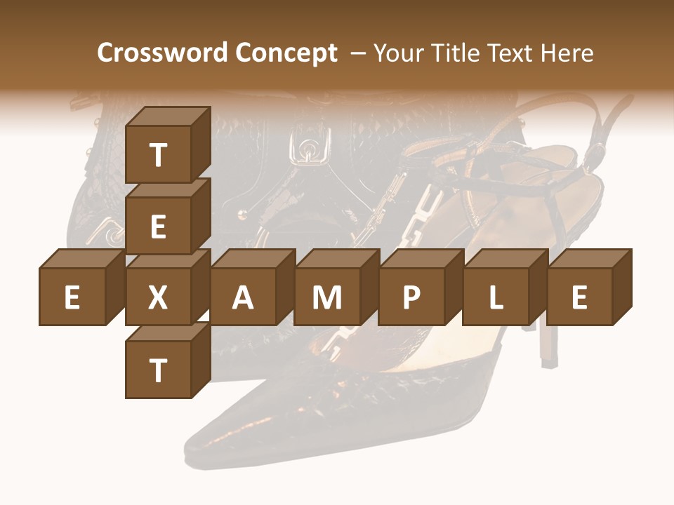 Black Fashion Accessory PowerPoint Template