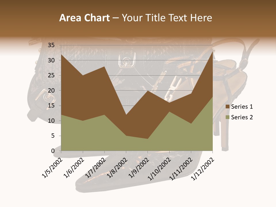 Black Fashion Accessory PowerPoint Template