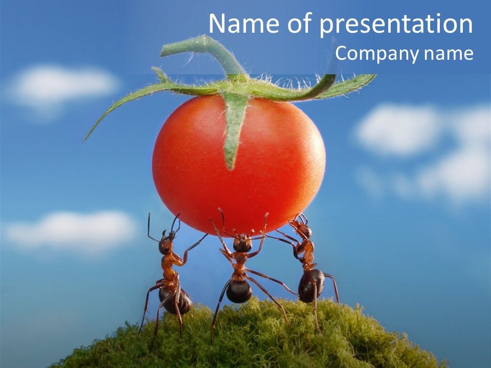 Vegetable Grass Animals PowerPoint Template