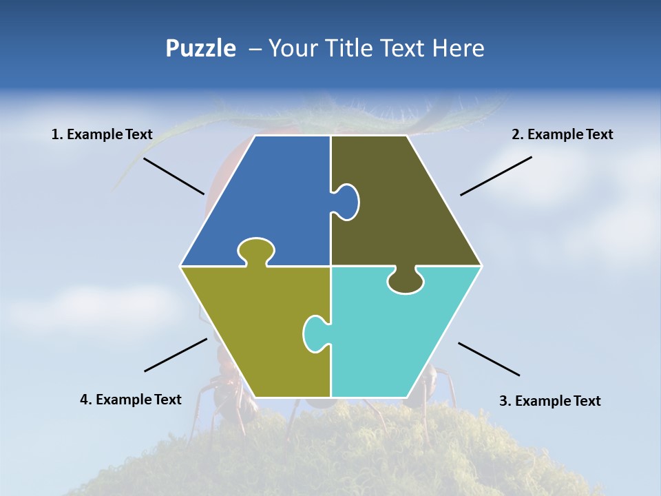 Vegetable Grass Animals PowerPoint Template