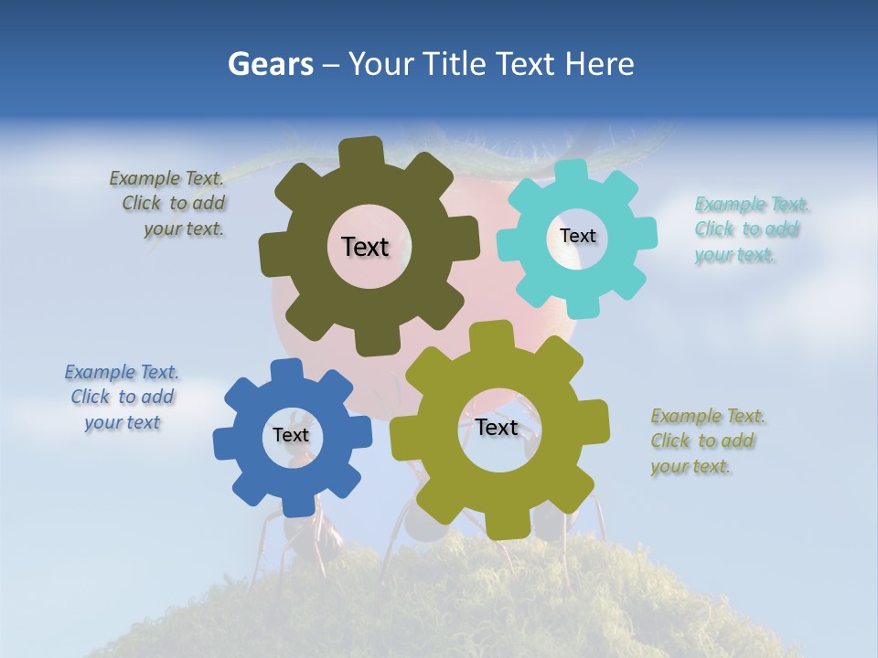 Vegetable Grass Animals PowerPoint Template