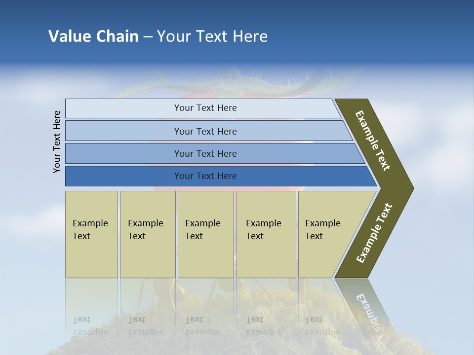 Vegetable Grass Animals PowerPoint Template