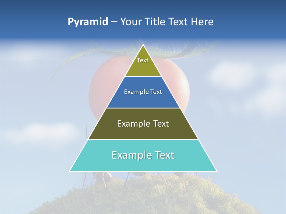 Vegetable Grass Animals PowerPoint Template