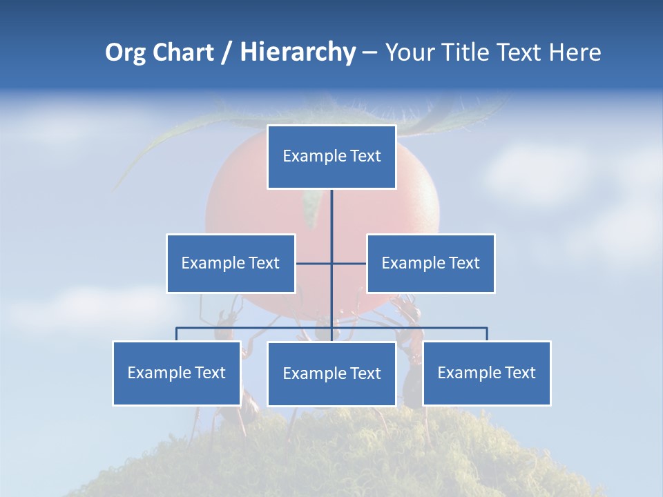 Vegetable Grass Animals PowerPoint Template