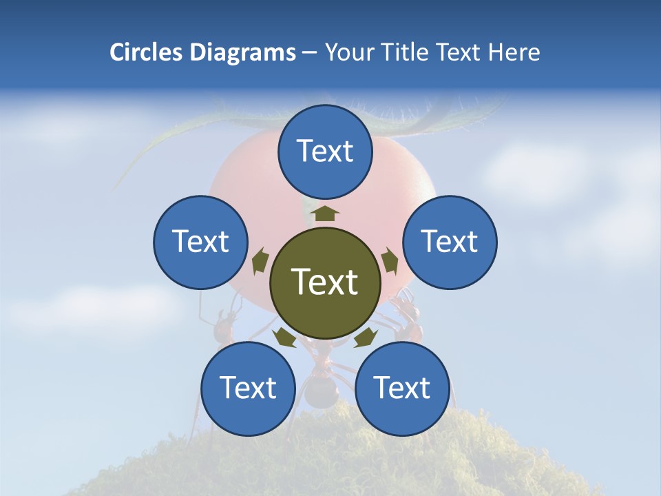 Vegetable Grass Animals PowerPoint Template