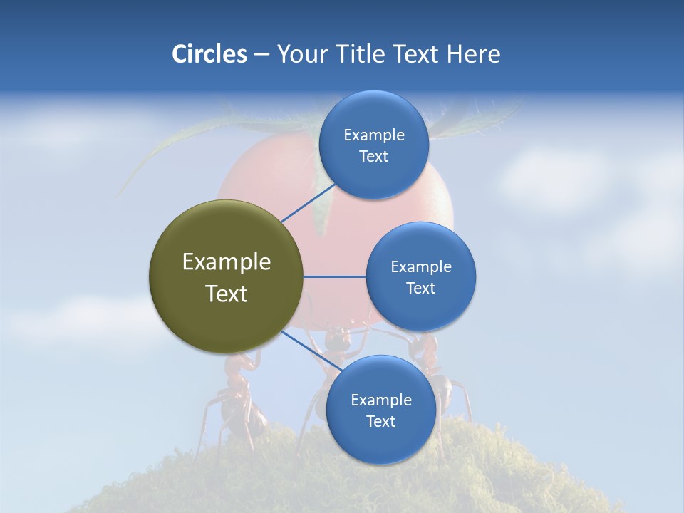 Vegetable Grass Animals PowerPoint Template