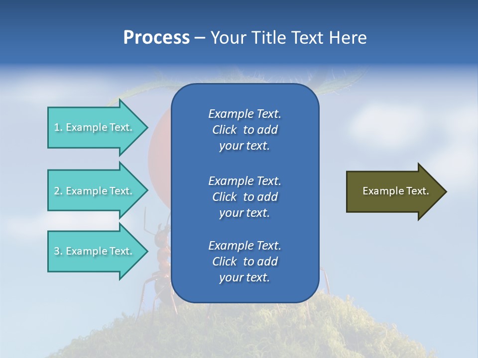 Vegetable Grass Animals PowerPoint Template