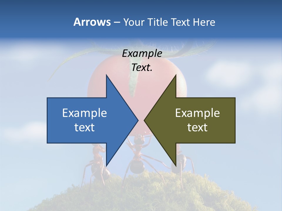 Vegetable Grass Animals PowerPoint Template