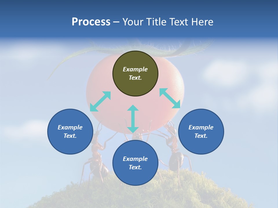 Vegetable Grass Animals PowerPoint Template