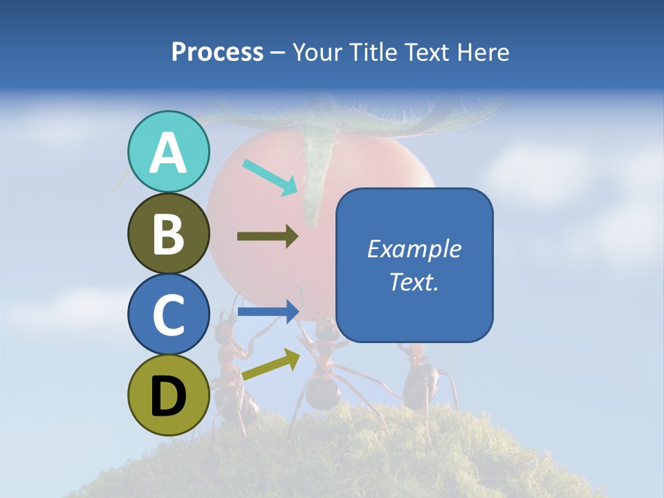 Vegetable Grass Animals PowerPoint Template