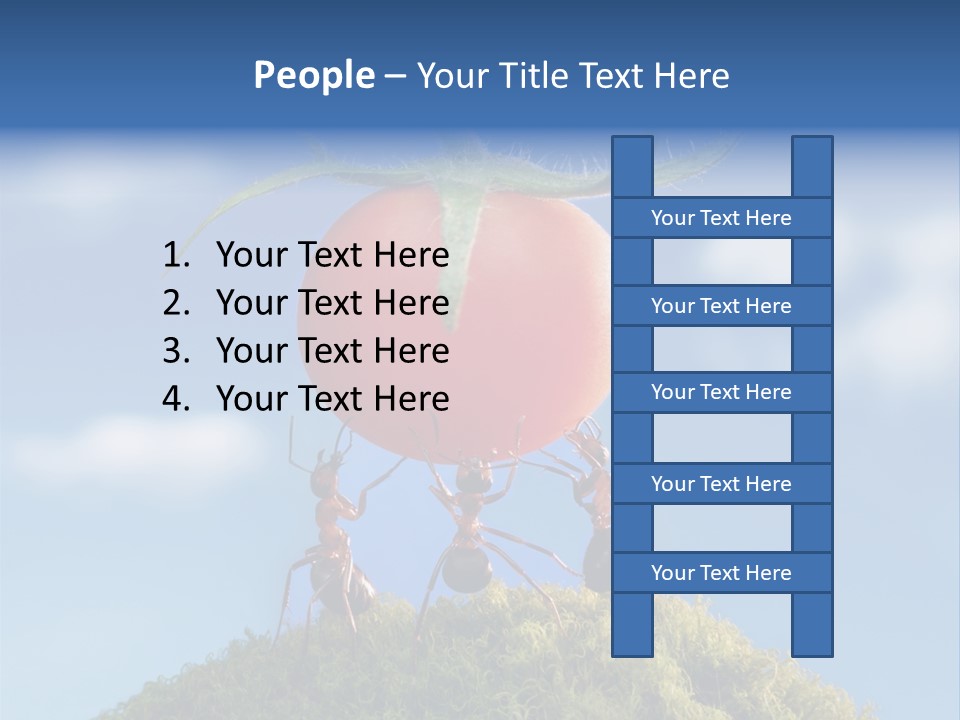 Vegetable Grass Animals PowerPoint Template