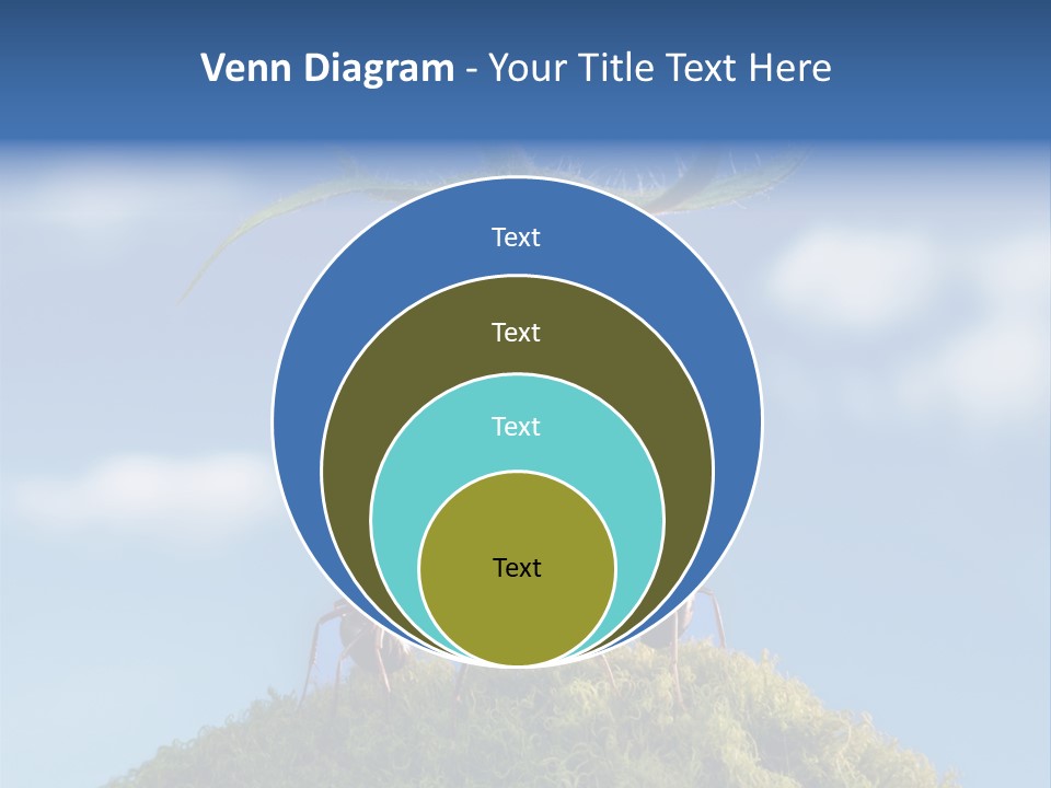 Vegetable Grass Animals PowerPoint Template