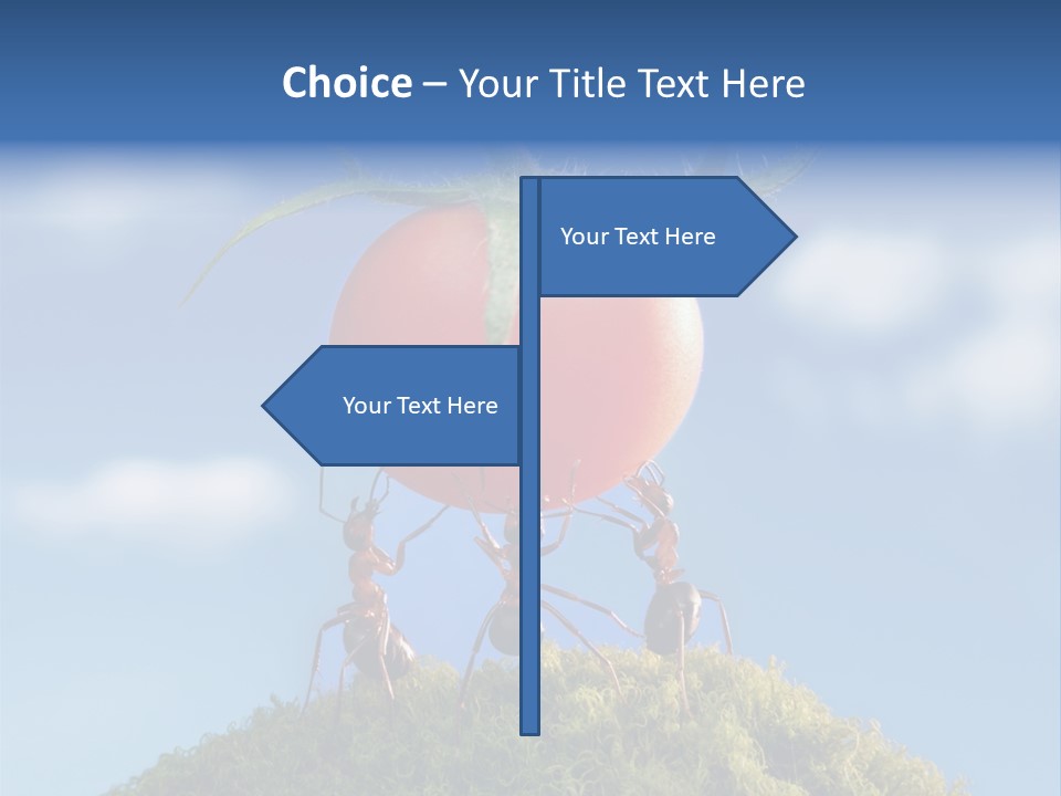 Vegetable Grass Animals PowerPoint Template