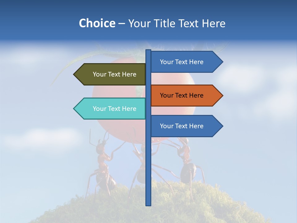 Vegetable Grass Animals PowerPoint Template