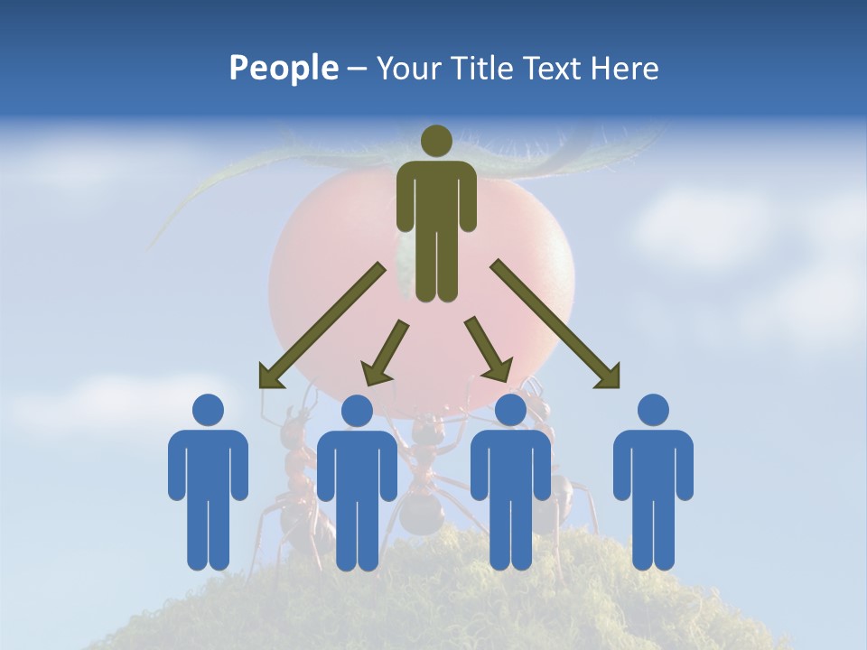 Vegetable Grass Animals PowerPoint Template