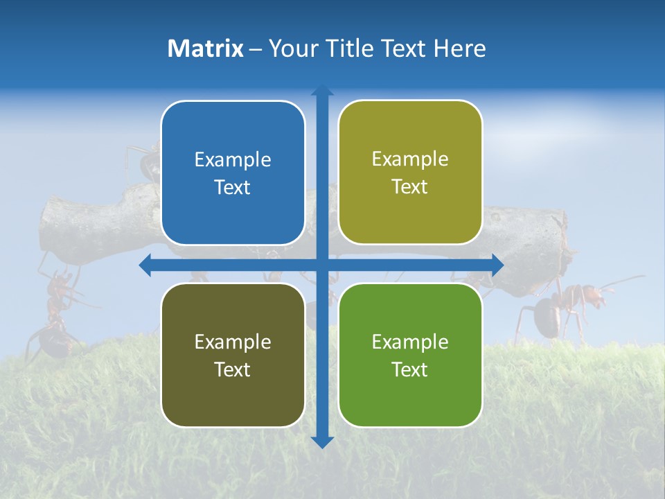 Workers Ants Wood PowerPoint Template