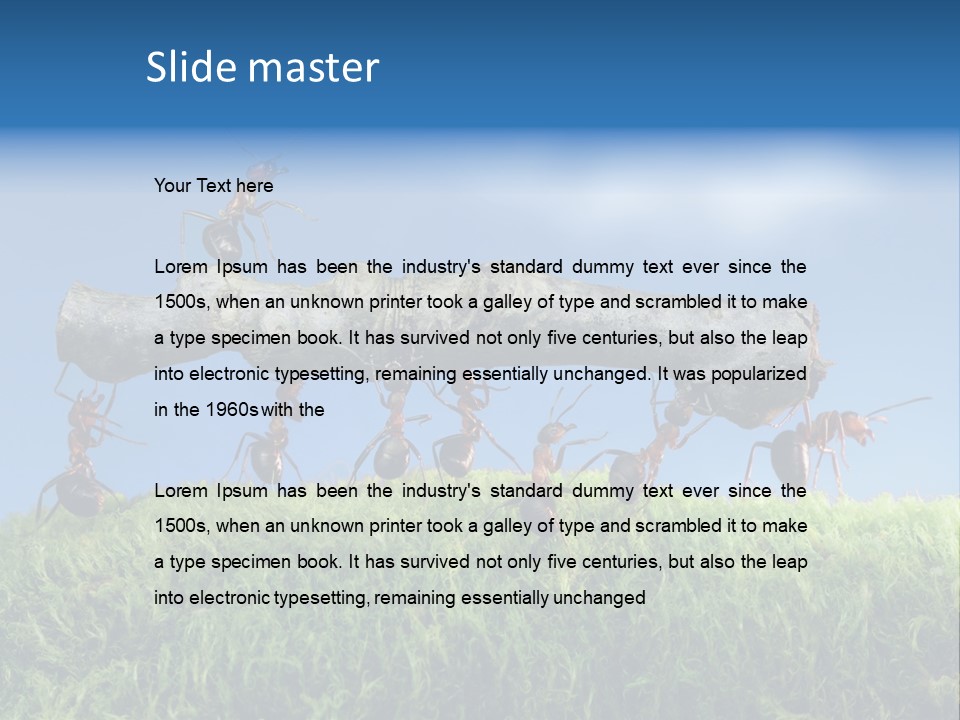 Workers Ants Wood PowerPoint Template