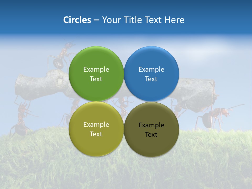 Workers Ants Wood PowerPoint Template