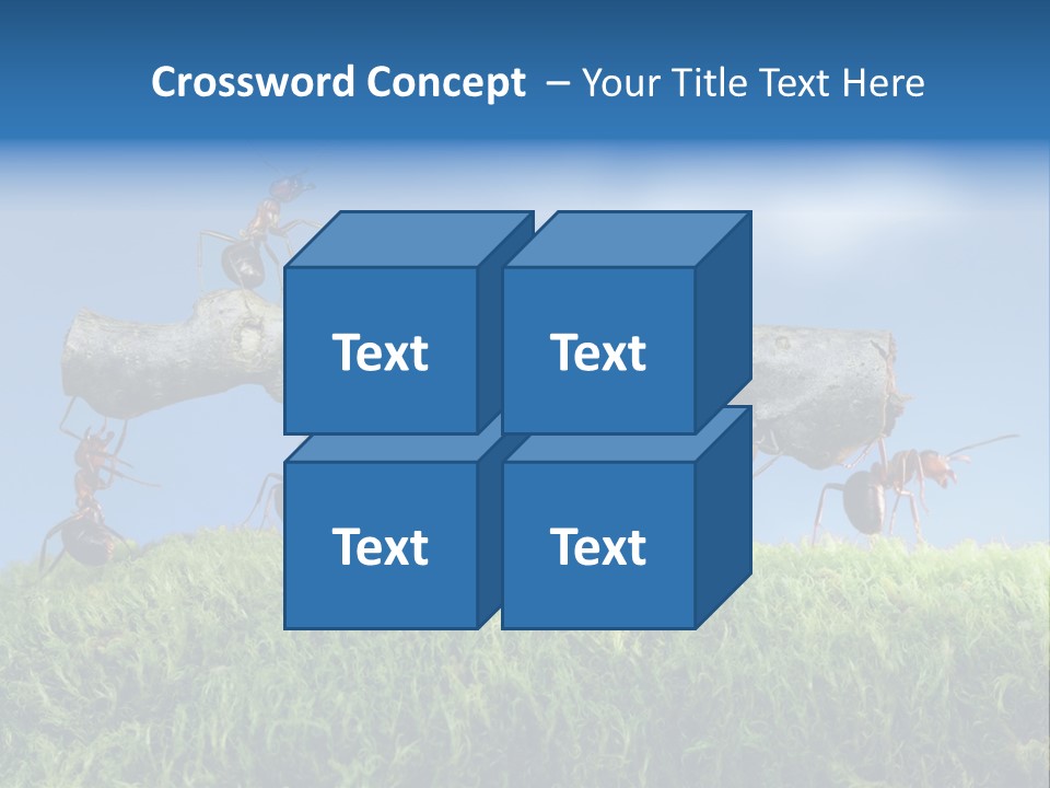 Workers Ants Wood PowerPoint Template
