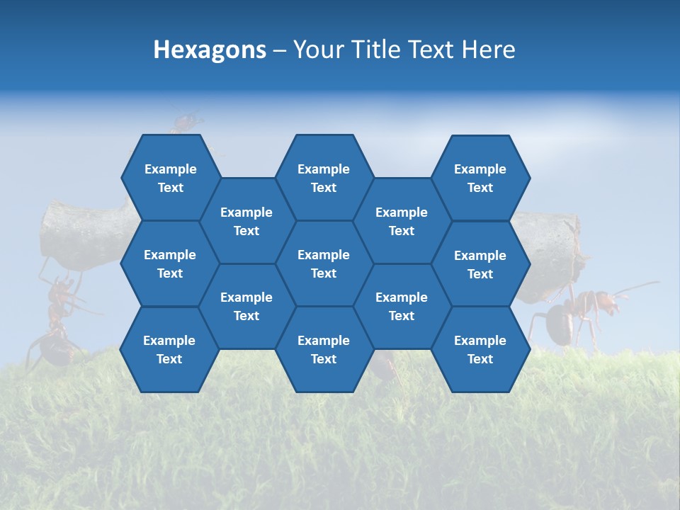 Workers Ants Wood PowerPoint Template