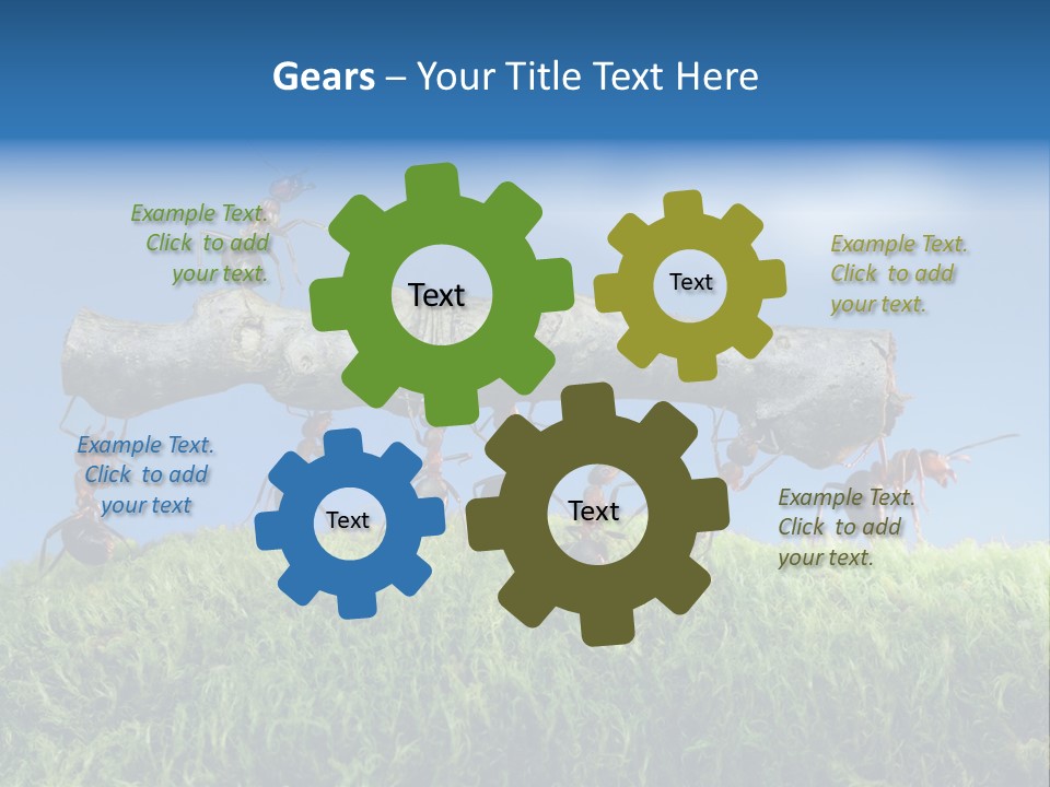 Workers Ants Wood PowerPoint Template