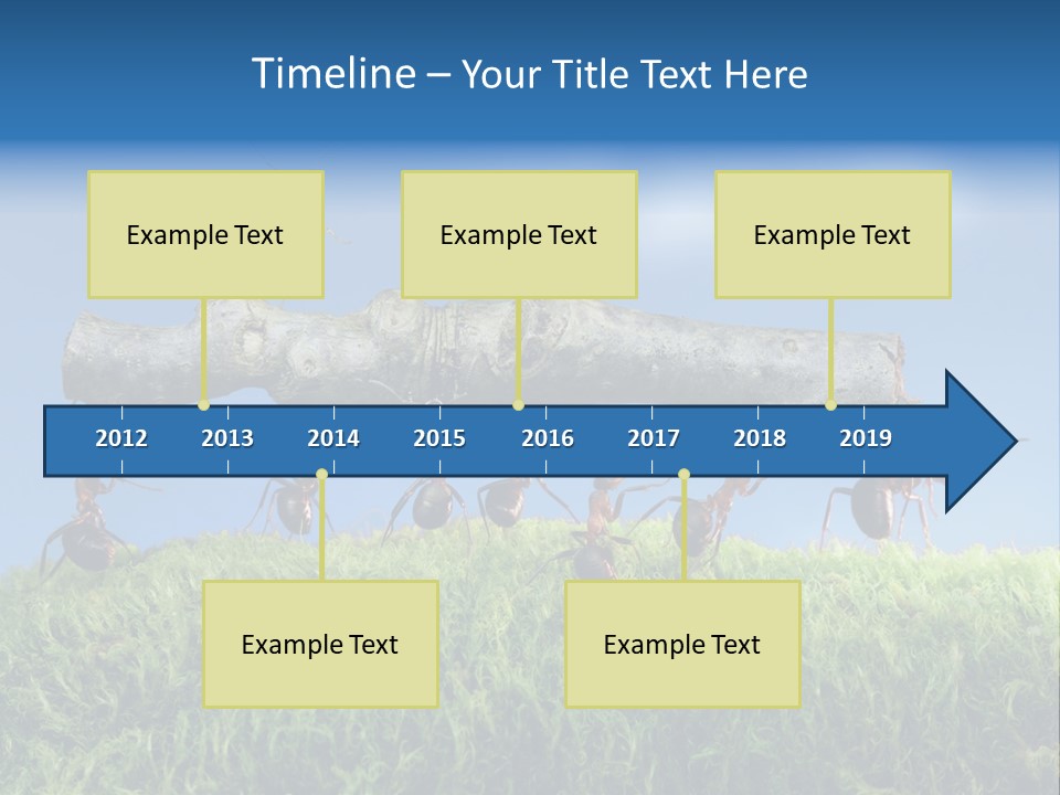 Workers Ants Wood PowerPoint Template