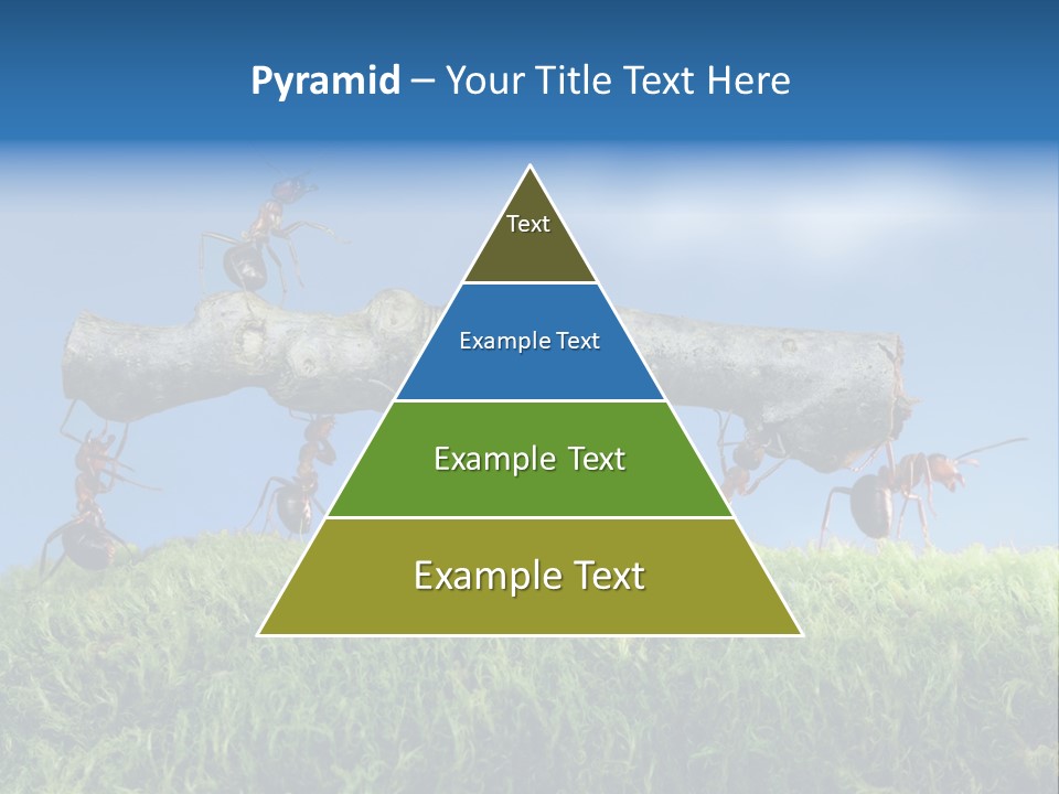Workers Ants Wood PowerPoint Template