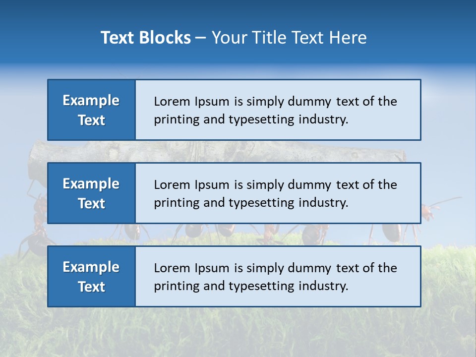 Workers Ants Wood PowerPoint Template