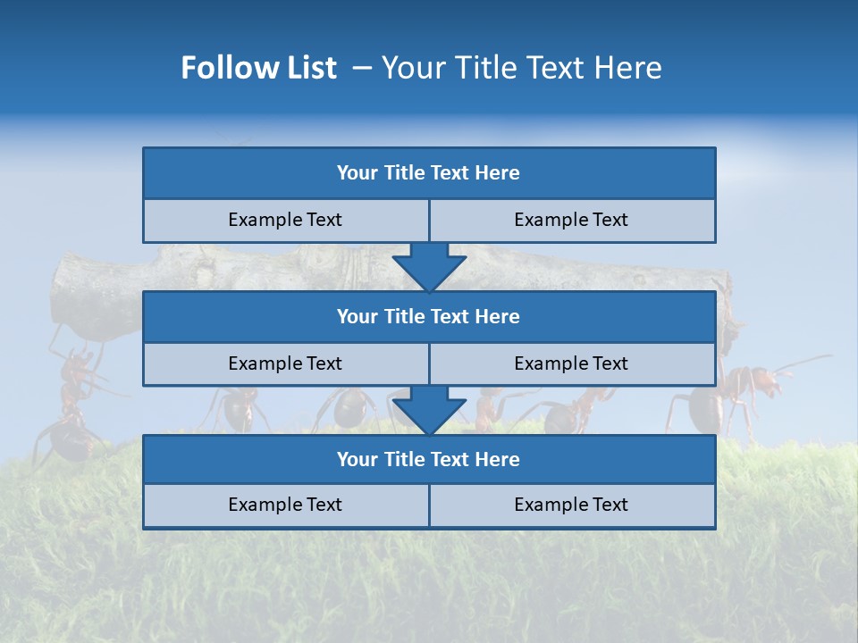 Workers Ants Wood PowerPoint Template