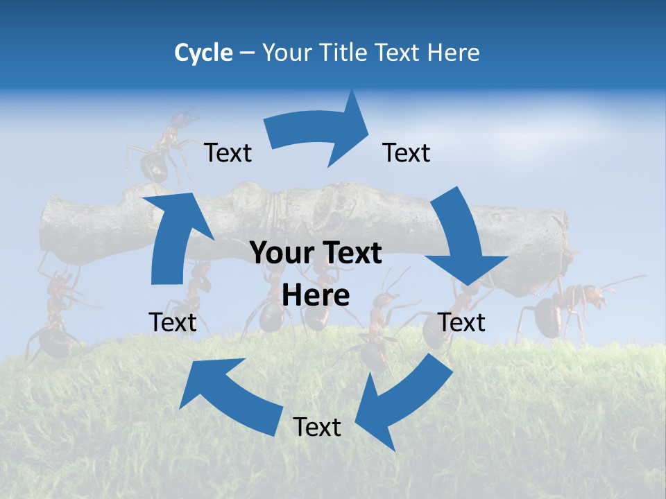 Workers Ants Wood PowerPoint Template