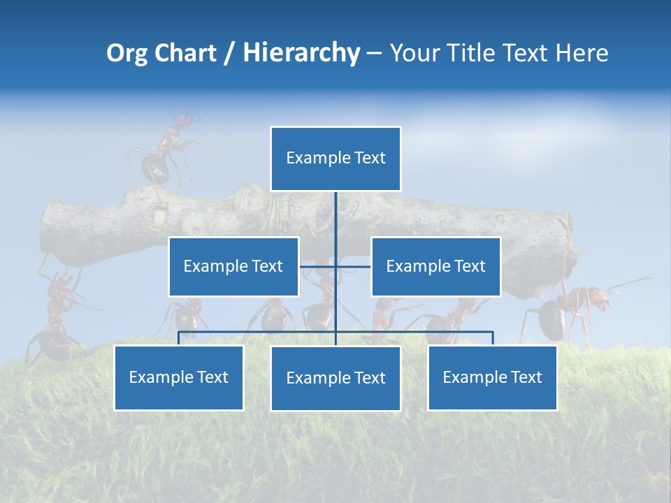 Workers Ants Wood PowerPoint Template