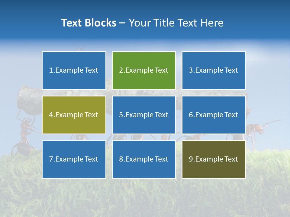 Workers Ants Wood PowerPoint Template